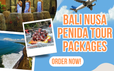 Bali Nusa Penida Tour Packages | the best choice of 2025